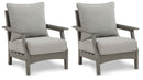 Visola - Lounge Chair w/Cushion (Set of 2) - Gray