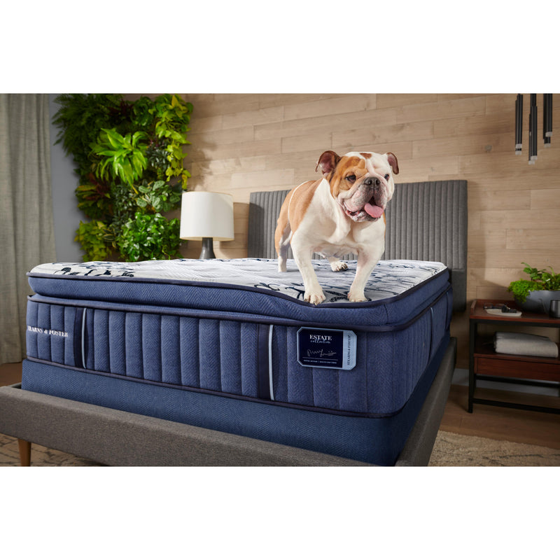  Isadora Luxury Cushion Firm Pillow Top Mattress (King) IMAGE 18