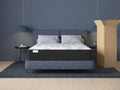 Encore Speciality - Gleason 12 Firm Mattress In A Box