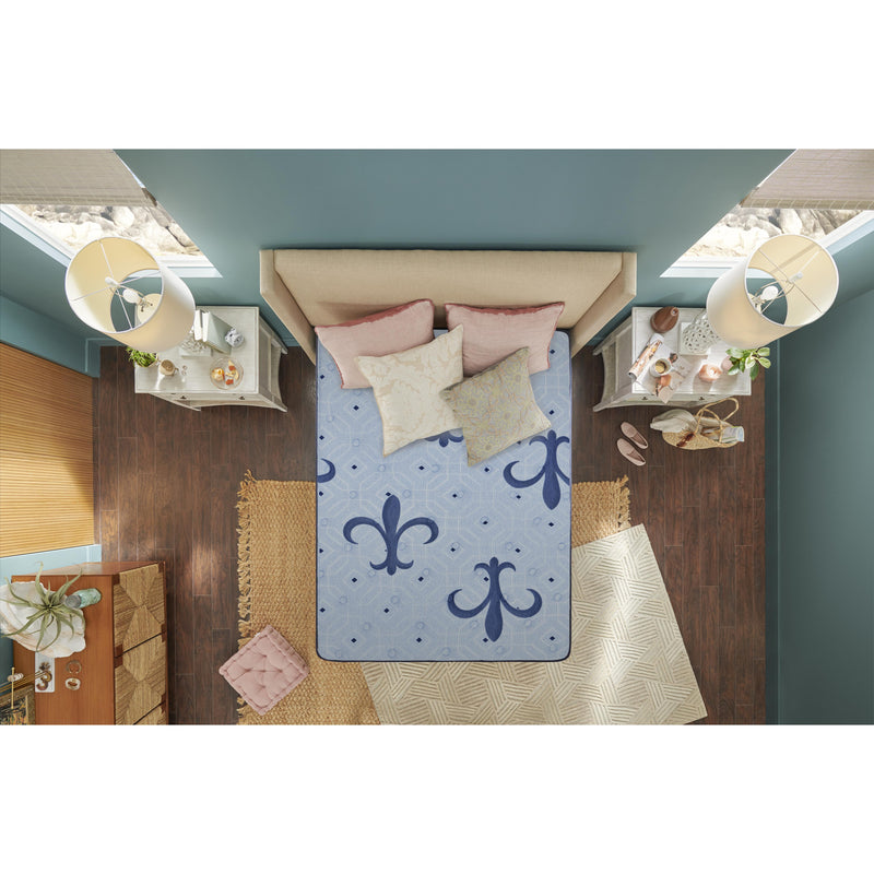  Sleep Sets_No  Size_King  -- Ellaria Firm Euro Top Mattress (King) IMAGE 18