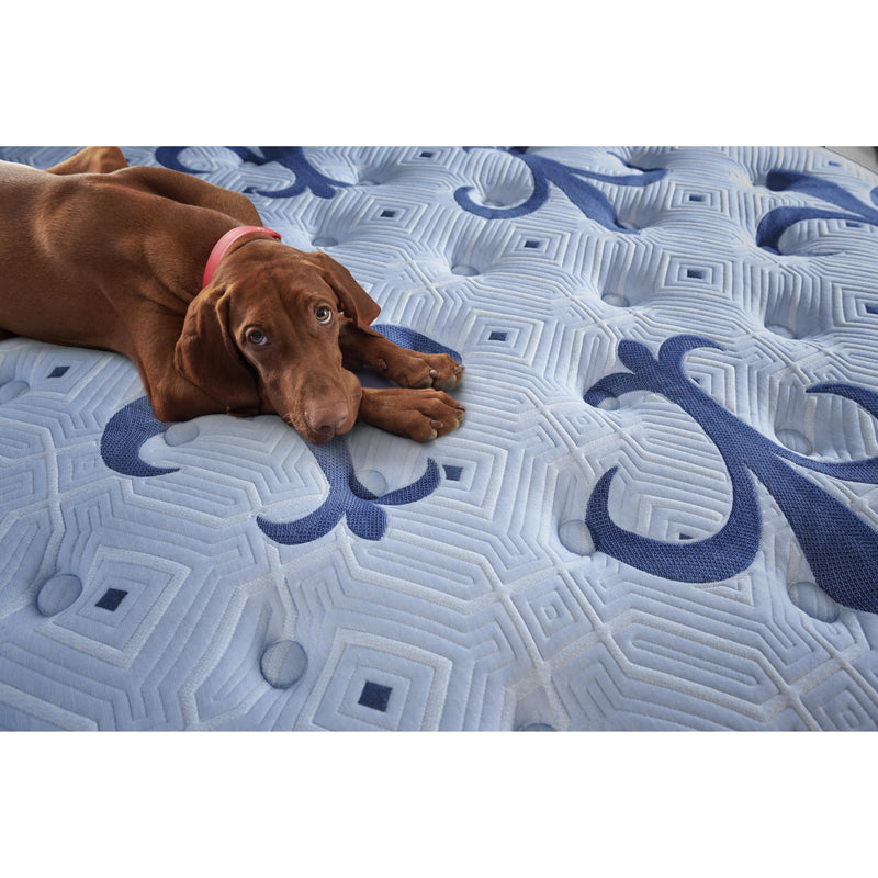  Sleep Sets_No  Size_Twin XL  -- Ellaria Plush Euro Top Mattress IMAGE 19