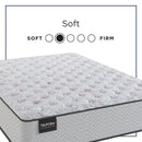 Amplify Exclusive - Momentum Soft Tigh Top Mattress