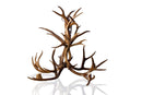 Antler Chandelier 8-Light
