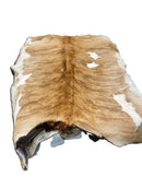 Calf Hide
