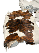 Calf Hide