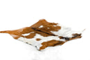 Goat Hide - Medium