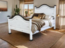 White King Promo Bed