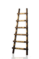 Cuero Ladder