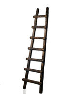 Primitive Ladder