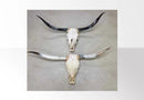 Skull with horns extra large
