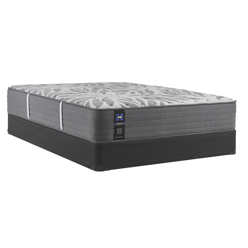 Sealy Mattresses Queen Testimony II Plush Tight Top Mattress Set (Queen) IMAGE 1